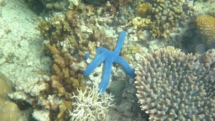DSC00065