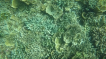 DSC00903