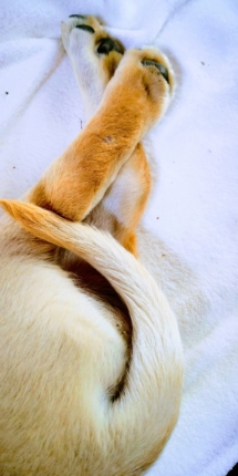 Max_1_004