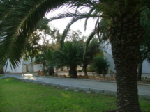 tunis15