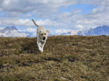 Dolomity_2023_77